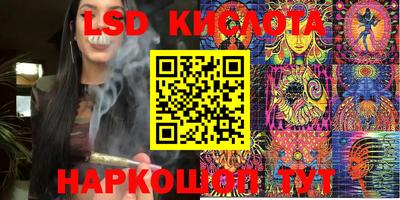 шишки Изобильный