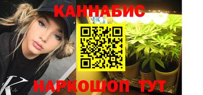 шишки Изобильный