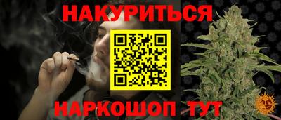 шишки Изобильный