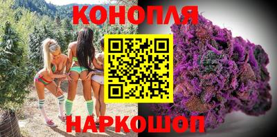 шишки Изобильный