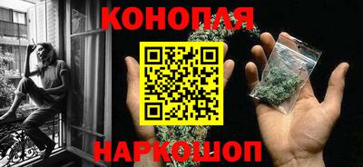 шишки Изобильный