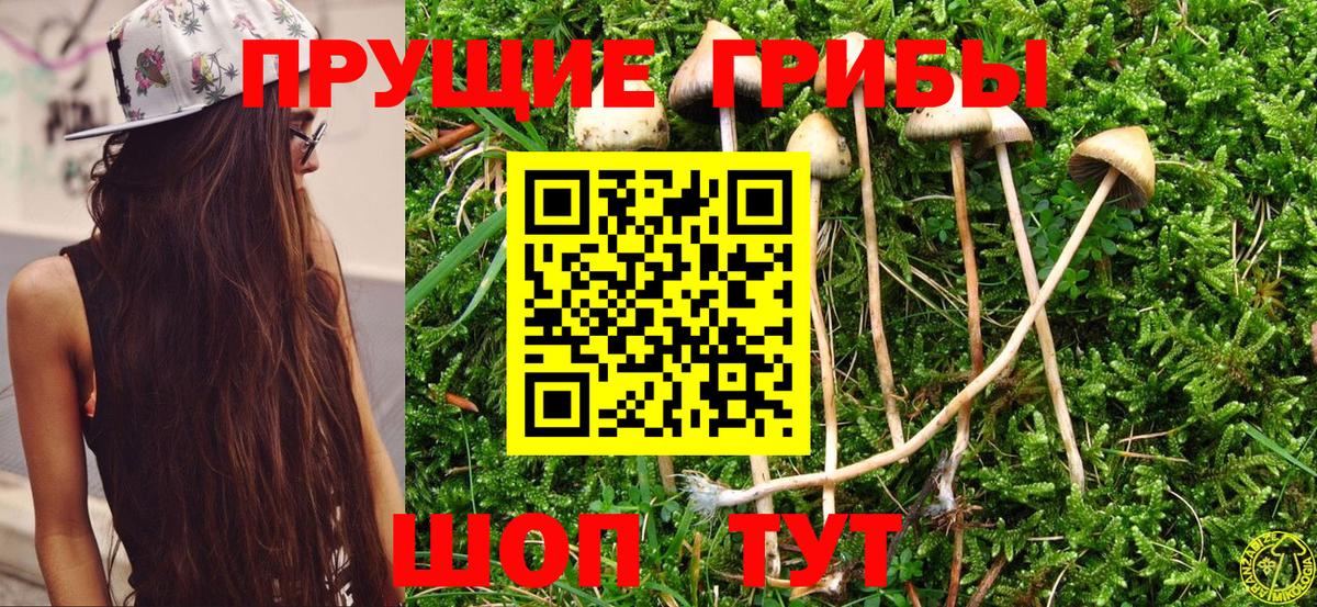 Псилоцибиновые грибы мухоморы  Вход с VPN  Кушва 