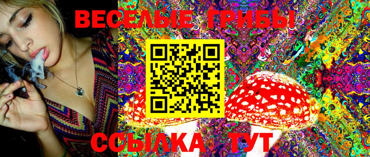 Псилоцибиновые грибы ЛСД Кушва